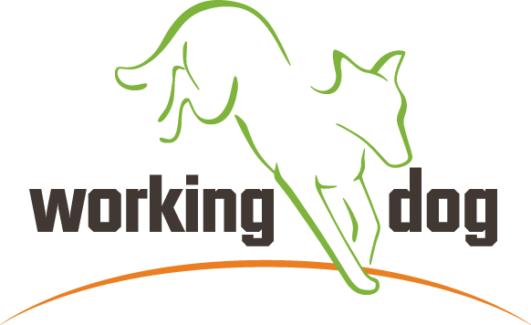 working dog
